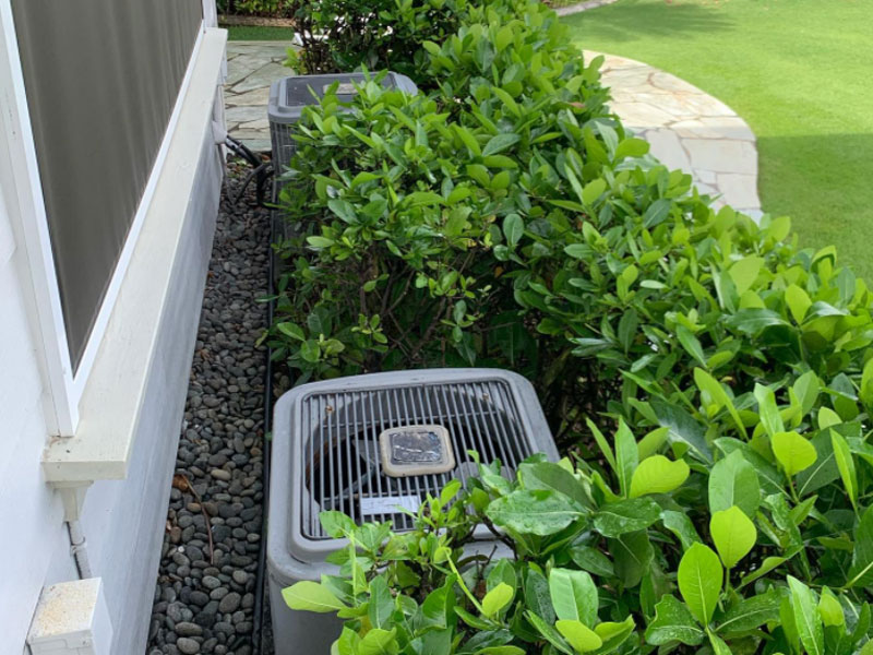 in garden with fan for vents